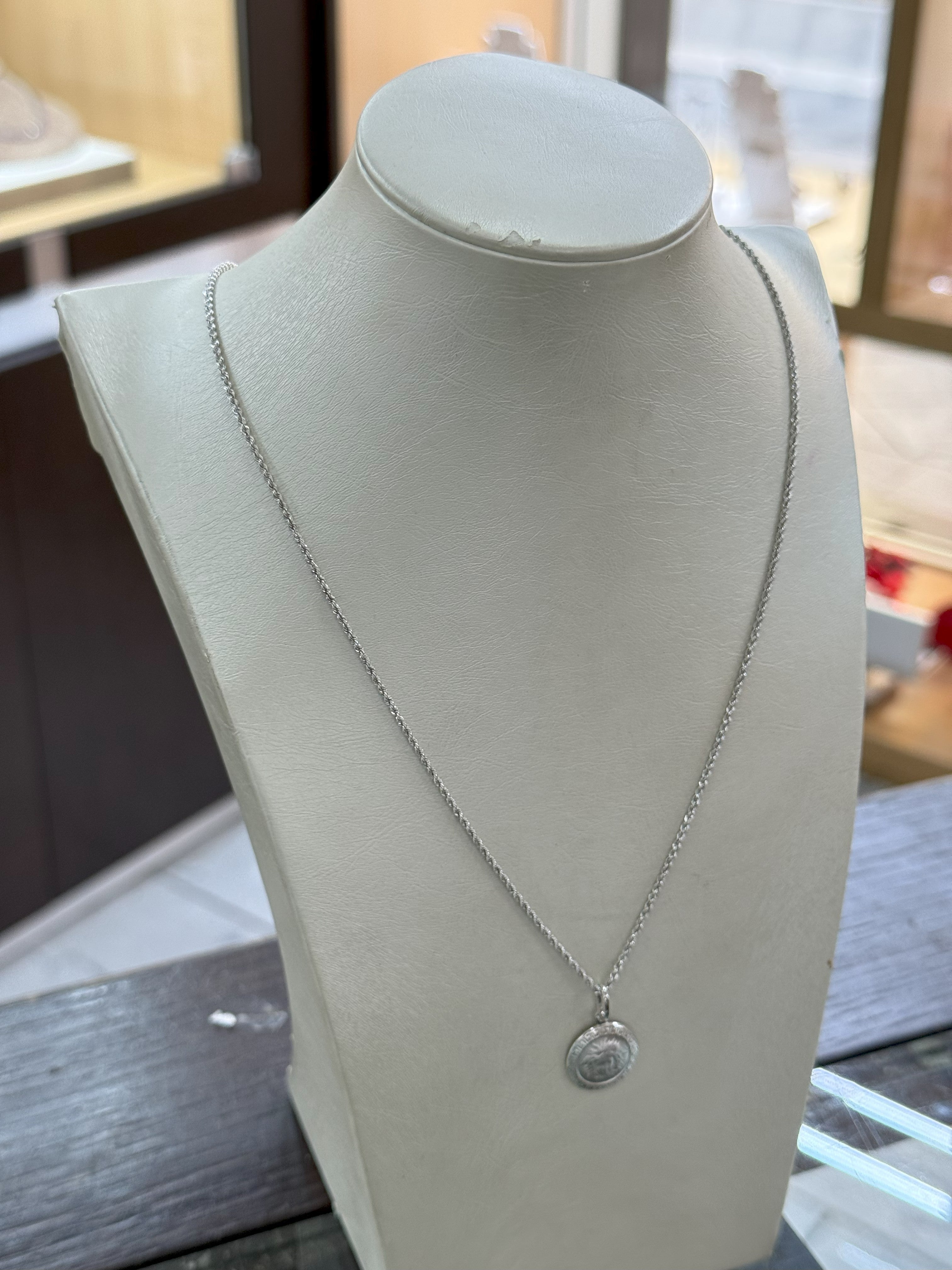 Collana Funetta e Ciondolo Medusa in Oro Bianco 18Kt